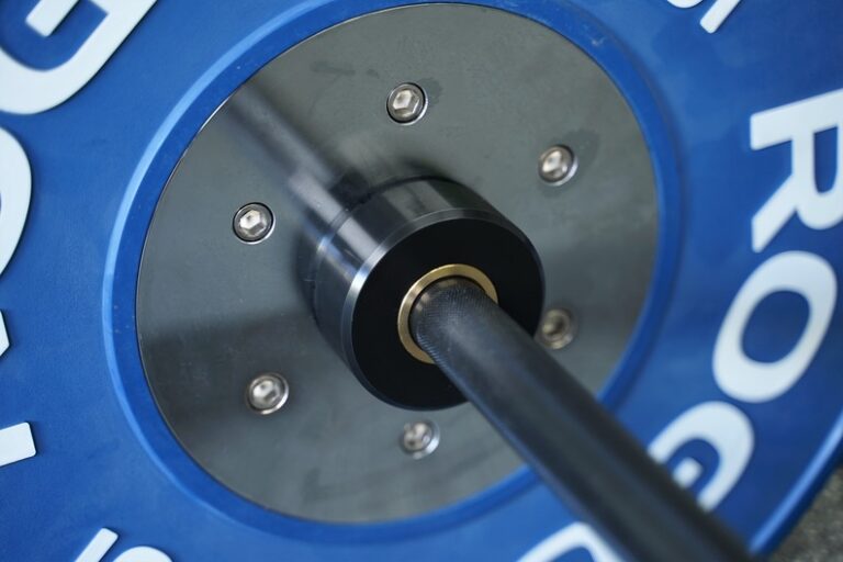 bushing-vs-bearing-barbell-which-should-you-buy-2024
