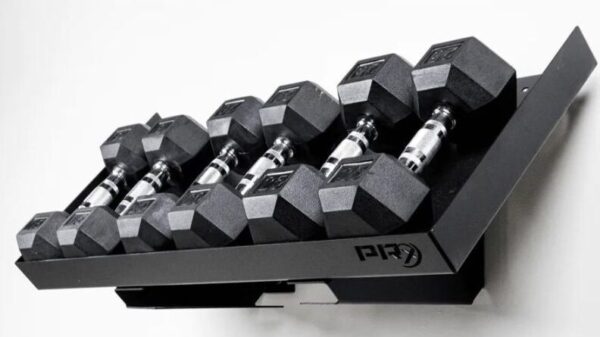 8 Best Dumbbell Racks to Buy in 2023 | Garage Gym Lab