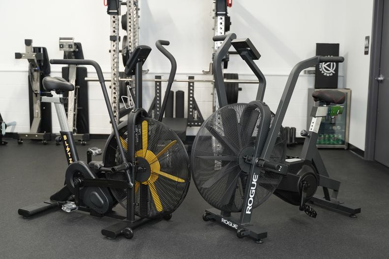 Rogue echo fitness online bike